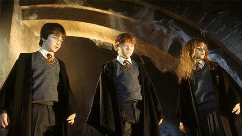 最新爆料哈利波特,神秘新线索揭示隐藏的魔法世界秘密  第3张